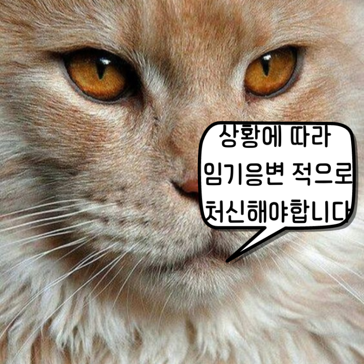  [교훈 글귀] 새