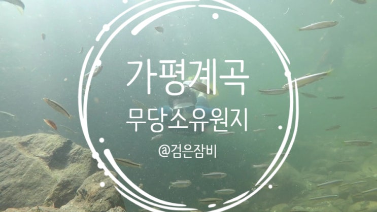  가평 무당소유원지!! 주간일기 2주차 투척정보!! 서울근교 여름휴가지 추천~~ (feat. 사패산 운해, 도봉산, 샌드앤)