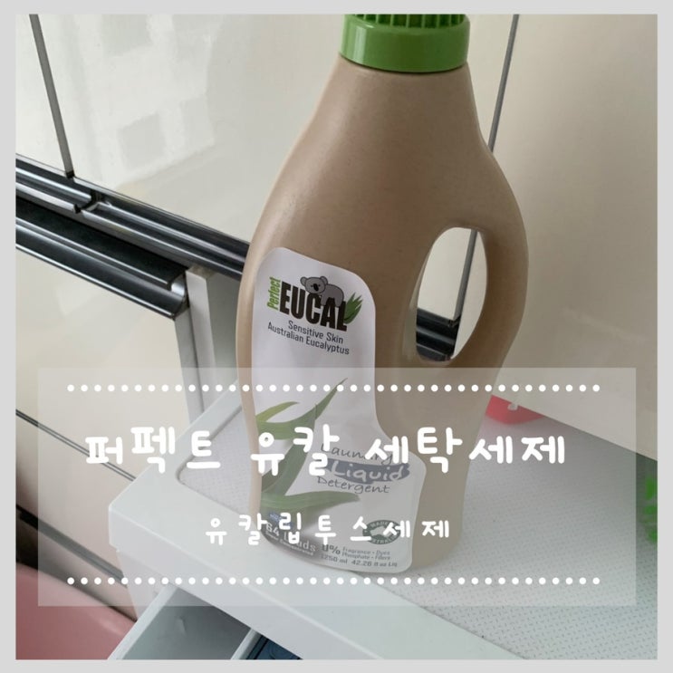  유칼립투스세제 퍼펙트 유칼 세탁세제