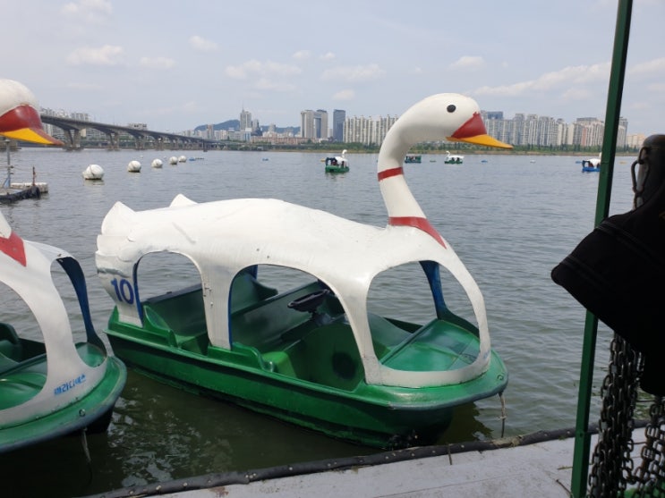  여의도 한강공원 오리배 아이도 부모님도 좋아해요