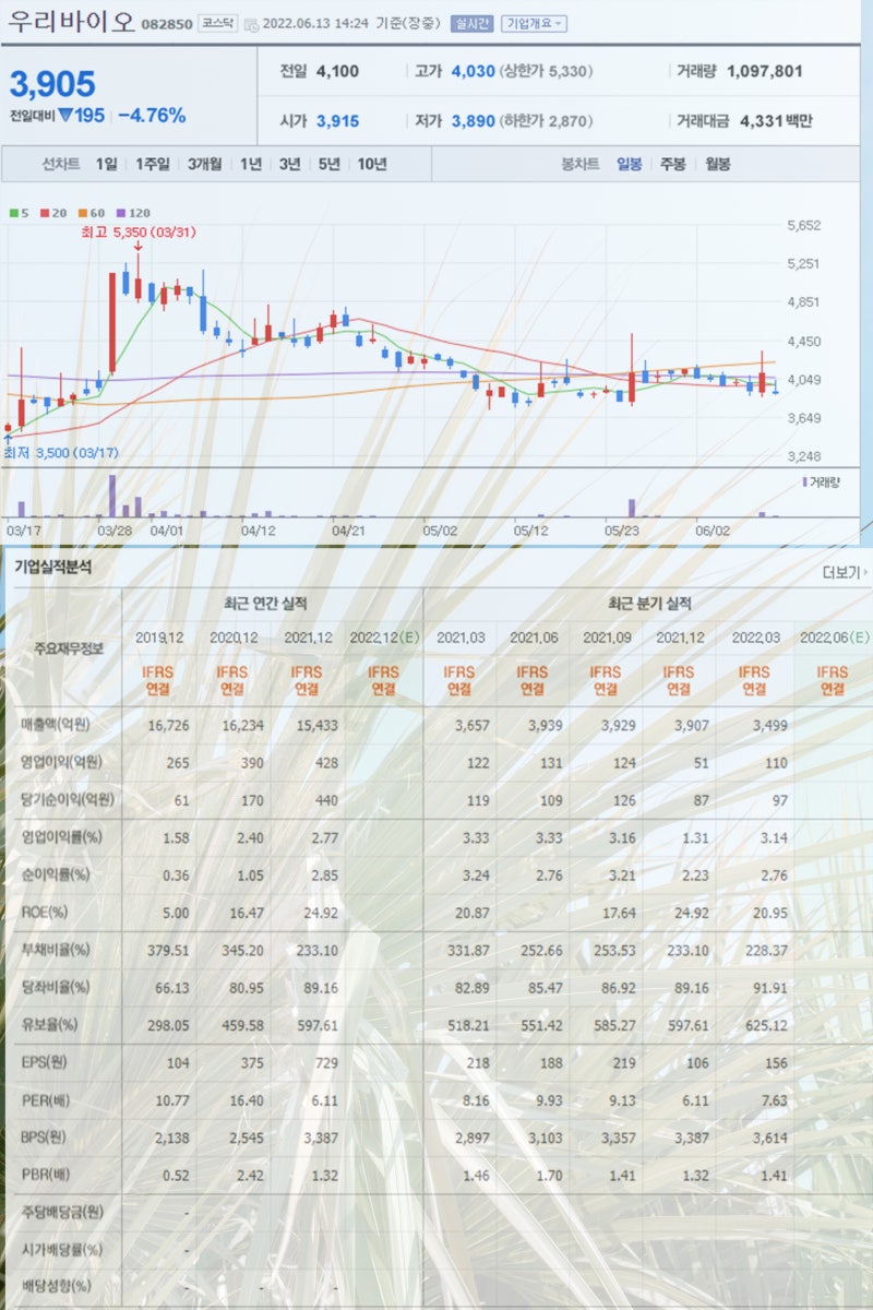 마리화나 관련주 마이더스AI 아이큐어 우리바이오 메디콕스 노터스 주가 주목 : 네이버 블로그