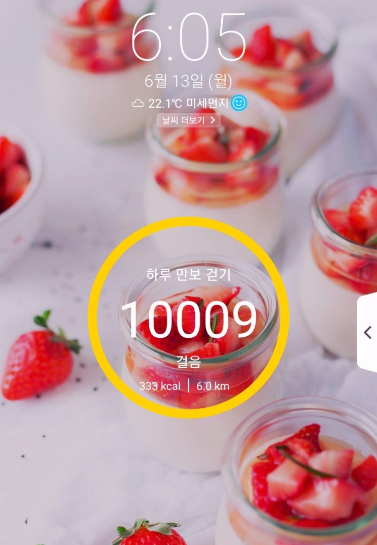  [주간일기 ]   2022.06.13.월