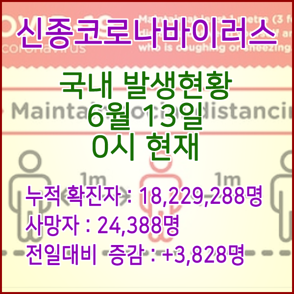  코로나19(코로나바이러스) 6월 13일 0시 신규확진자 3,828명 / 사망자 24,388명