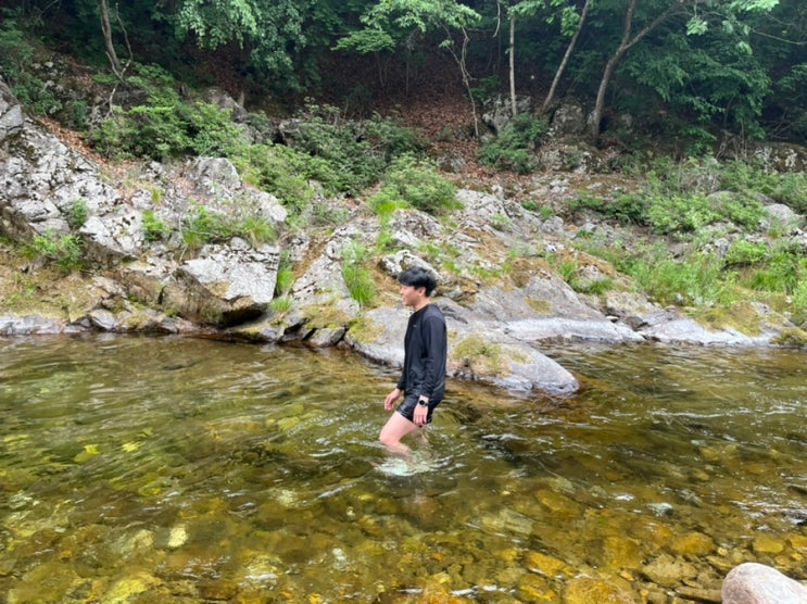  [강원도 홍천 캠핑장/을수민박 캠핑장] 계곡, 낚시, 캠핑이 모두 가능한 숨은 캠핑장(feat. 2박 3일 먹부림)