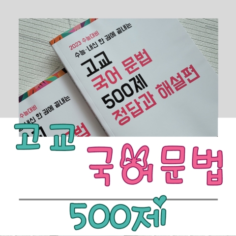  수능과 내신문법을 한 권에 끝내기 - 마더텅 고교 국어문법 500제