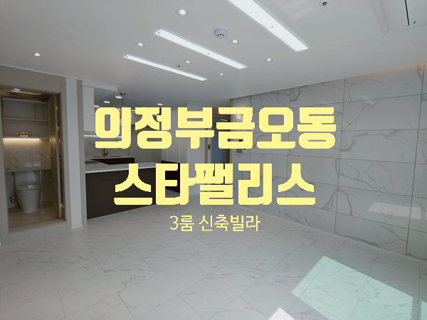  의정부시 금오동 신축빌라 스타클래스 넓은 테라스의 쓰리룸 신축빌라 의정부 새말역