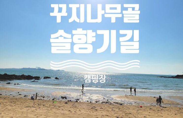  충청남도 태안군 꾸지나무골 솔향기길 캠핑장 캠핑 후기