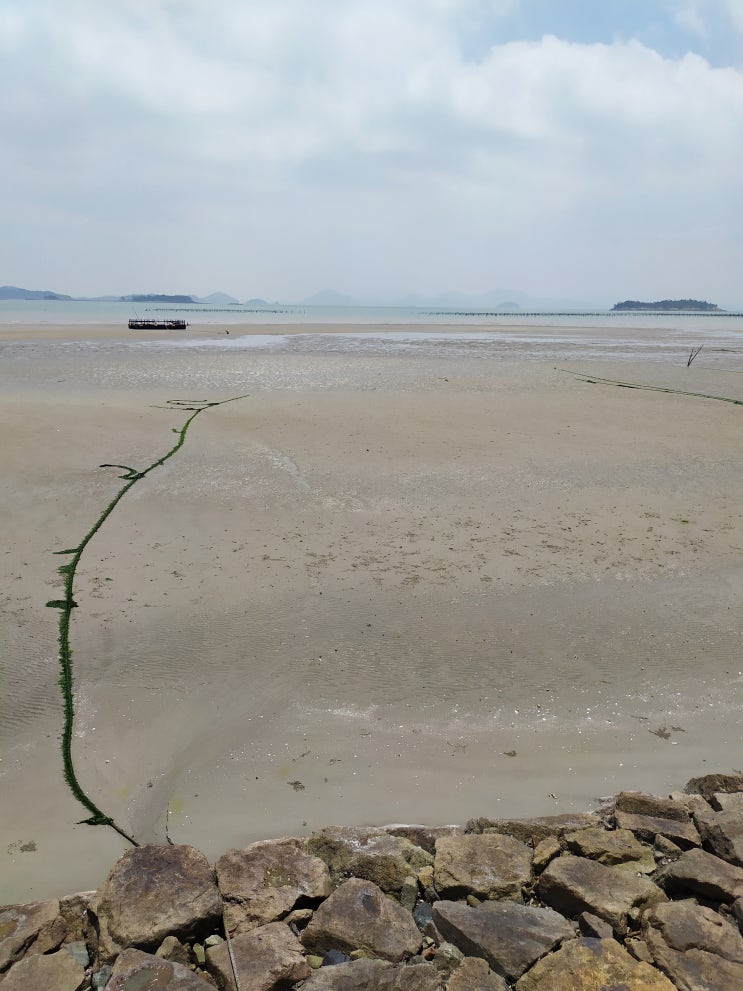  증도 여행