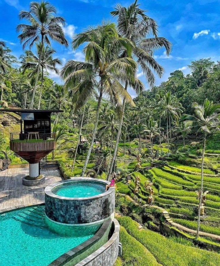 발리 더 카욘 정글 리조트 예약 못하신 분들 Cretya Ubud 가세요!!! 발리 더 카욘 정글 리조트 예약 못하신 분들 Cretya Ubud 가세요!!!