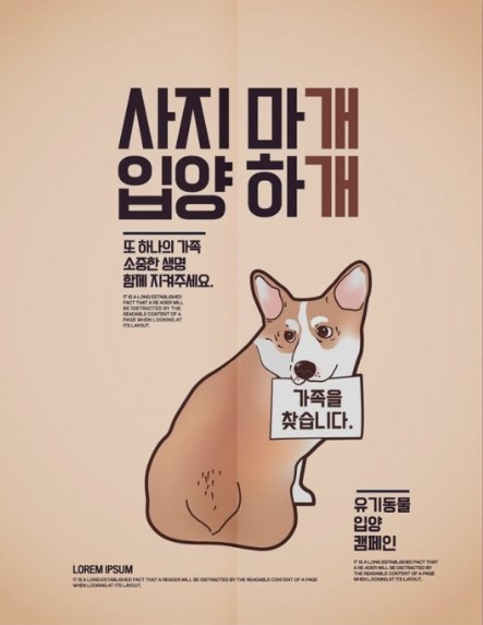  유기견,유기묘 입양비 지원