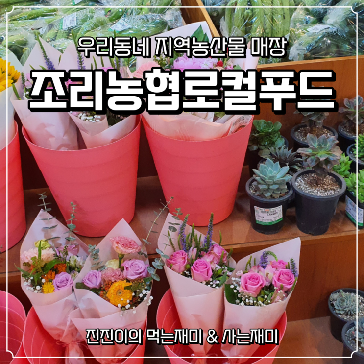  조리농협로컬푸드에서 신선한 농산물 사왔어요~~ / 우리동네지역먹거리 / 로컬푸드직매장