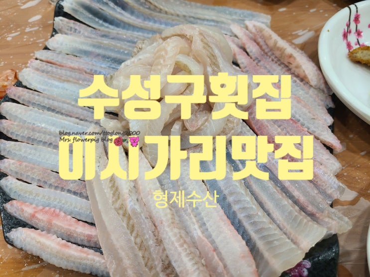  대구 수성구 횟집 추천'형제수산' 자연산 참가자미 이시가리 싱싱하고 푸짐해요