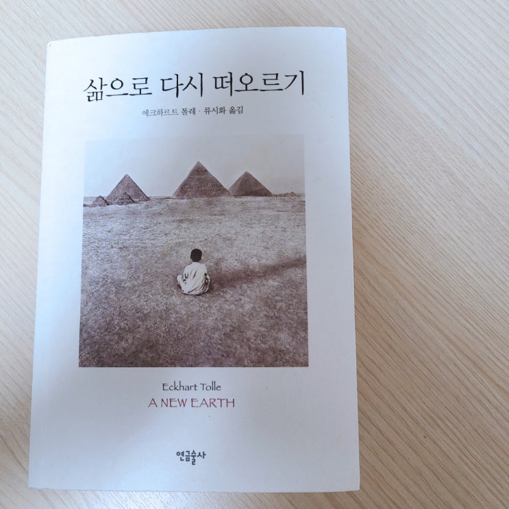 에크하르트 톨레 [삶으로 다시 떠오르기] 과거와 감정 쓰레기통을 벗어나는 방법
