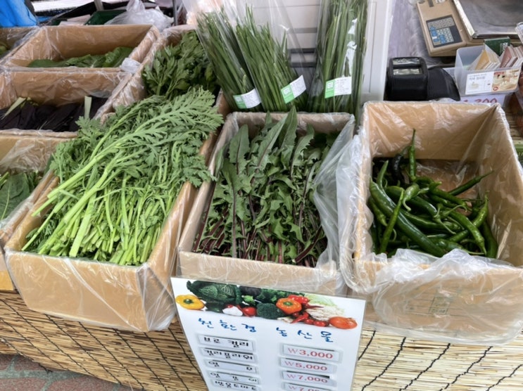  과천 경마공원 바로마켓/농축수산 장터/직거래장터/판매물품,가격,영업시간 등