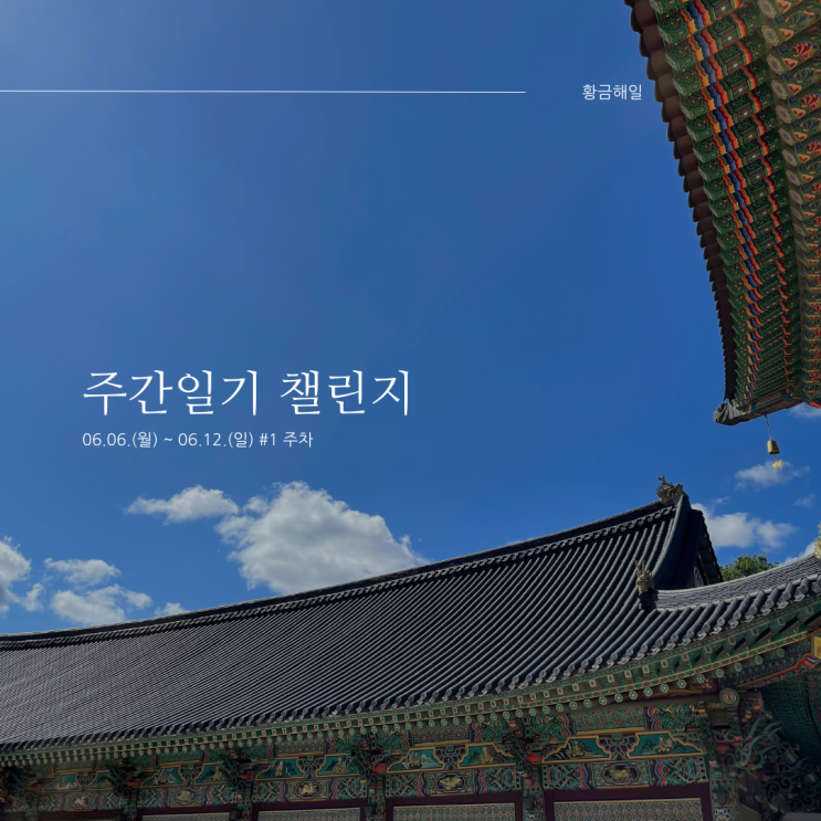  하루를 돌아보니 뭐가 참 많네요_6월 6일