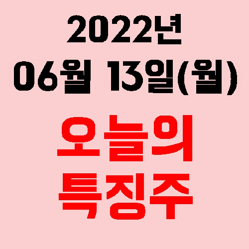  오늘의 시장 특징주 2022년 06월 13일(월)