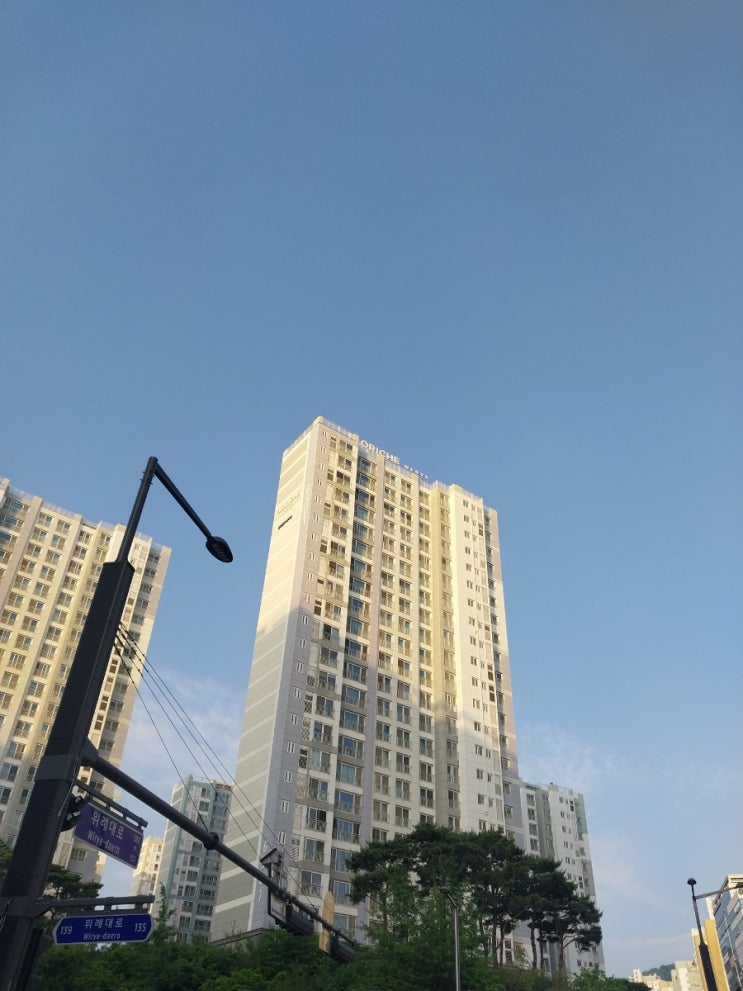  대선 이후 서울 아파트 신고가 기록(서초, 강남, 용산)