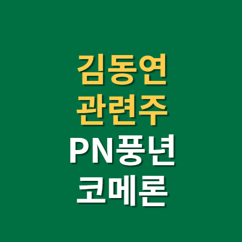  김동연 관련주 PN풍년 코메론 주가 전망 실적(F. 경기도지사)