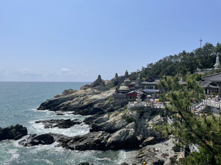  [부산 여행 #5] 3일차 부산 가볼만한곳 기장 해동용궁사 ㅣ 해운대암소갈비집 웨이팅  후 성공 ㅣ 해운대 블루라인파크 스카이캡슐 탑승 ㅣ 민락 회타운에서 농어회 먹기