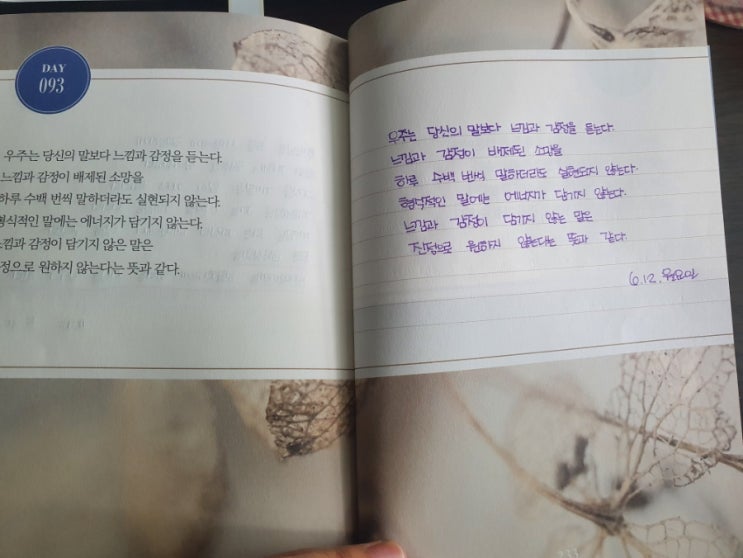  필사: 새벽 5시 필사100일의 기적