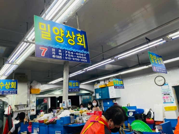  [부산 맛집] 광안리 회센터 '민락회타운' 내 '밀양상회' 에서 제철 농어회 맛보기 ㅣ 주차방법