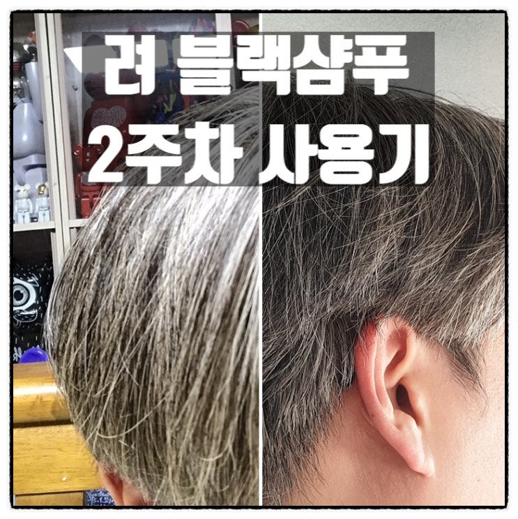 염색샴푸 고민 이젠 려 블랙샴푸 려 블랙트리트먼트 2주차 사용후기 염색샴푸 고민 이젠 려 블랙샴푸 려 블랙트리트먼트 2주차 사용후기