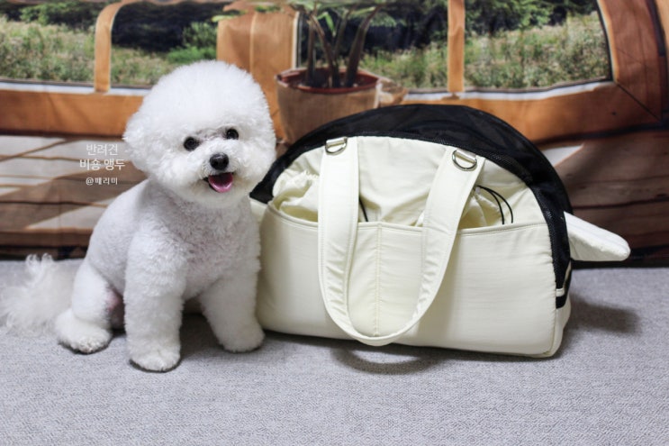  가벼운 강아지 이동가방 마이베프 디어백 애견 가방 슬링백 추천