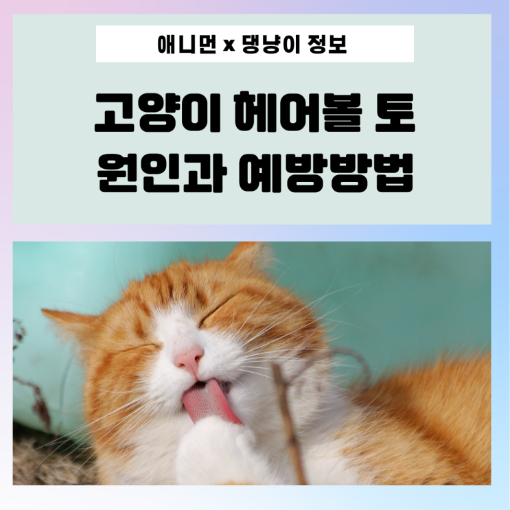 [댕냥이 정보] 고양이 헤어볼 토 원인과 예방방법