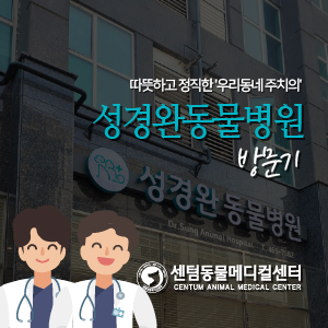  따뜻하고 정직한 '우리동네 주치의', 성경완동물병원 방문기 (부산 동구 초량역 동물병원)