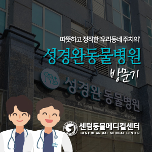 따뜻하고 정직한 '우리동네 주치의', 성경완동물병원 방문기 (부산 동구 초량역 동물병원)