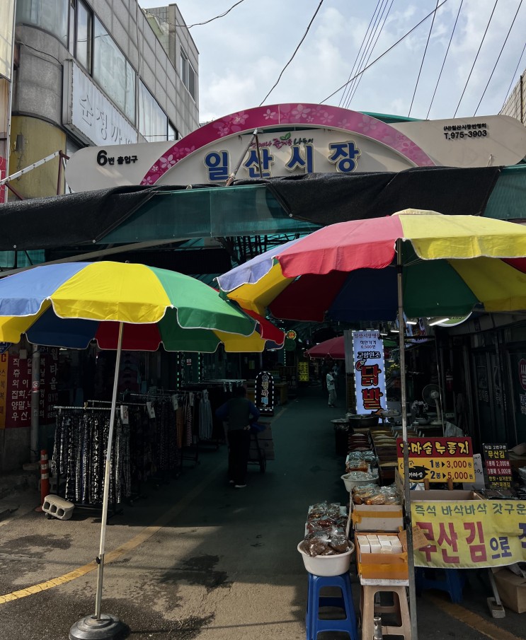 일산시장 방문 후기(ft 맛집 일산 왕족발과 중앙식당 후기)