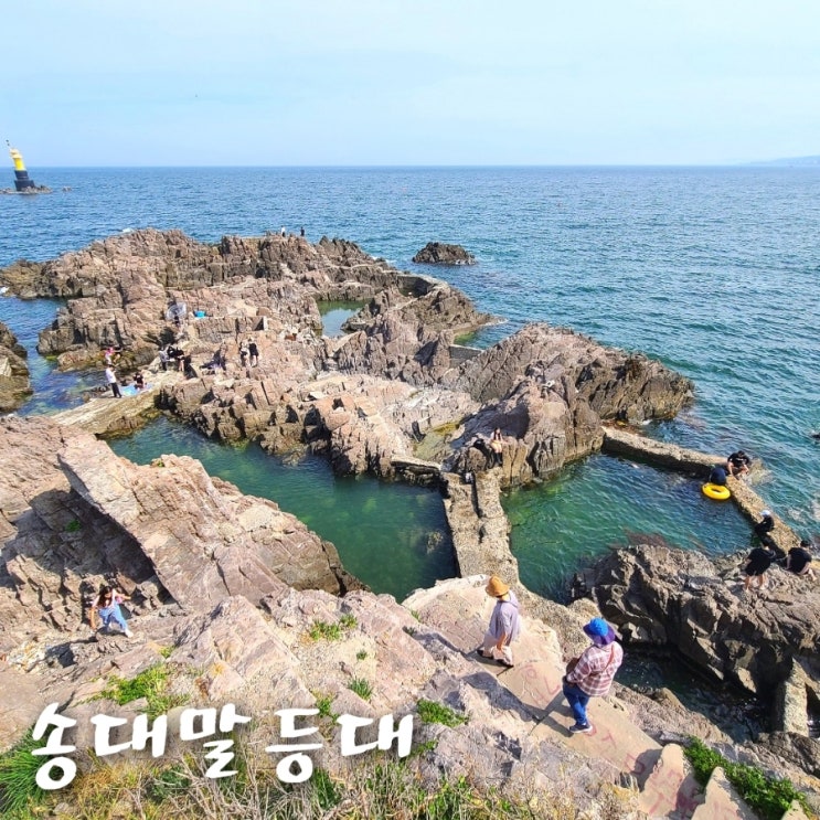  경주 송대말등대 스노쿨링 감포해수욕장 아이와 물놀이