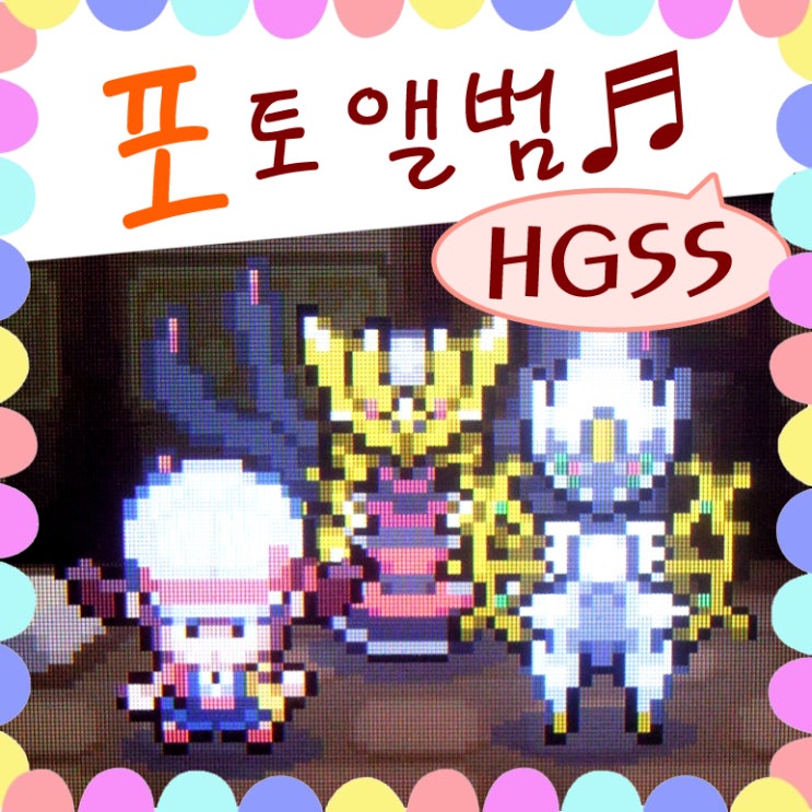  포켓몬스터 하트골드 소울실버 NDS 게임 포토앨범 파일 모음