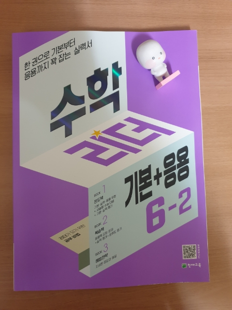  초등 수학 문제집  '수학 리더(기본+응용)'으로 한 번에 6학년 2학기 완전 정복하기