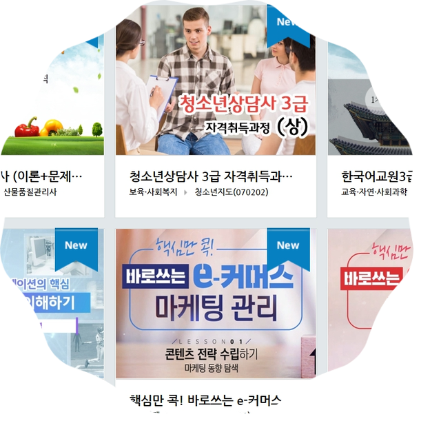 한국이러닝교육센터 법정의무교육 필요한 과목만 선택해서 받으면 안되나?