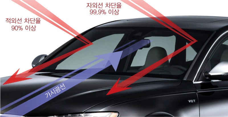 화성 남양읍 / 썬팅 / 쌍용 / 렉스턴