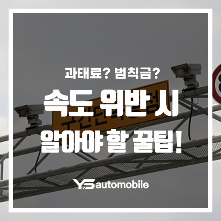  과태료? 범칙금? 속도위반 시 알아야 할 꿀팁!