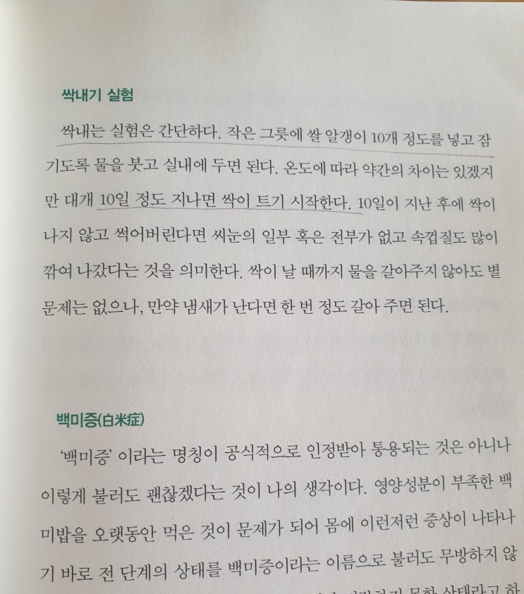  진짜 현미? 가짜 현미 , 이유없이 몸이 개운치 않다면 백미증을 의심해보라