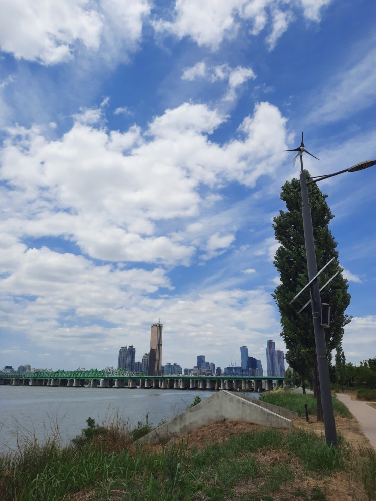  6월 세번째 주간일기 : 한강동, 이촌한강공원, 남양주, 달빛새 베리커리카페, 브루웍스