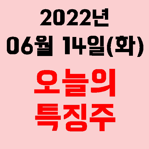  오늘의 시장 특징주 2022년 06월 14일(화)
