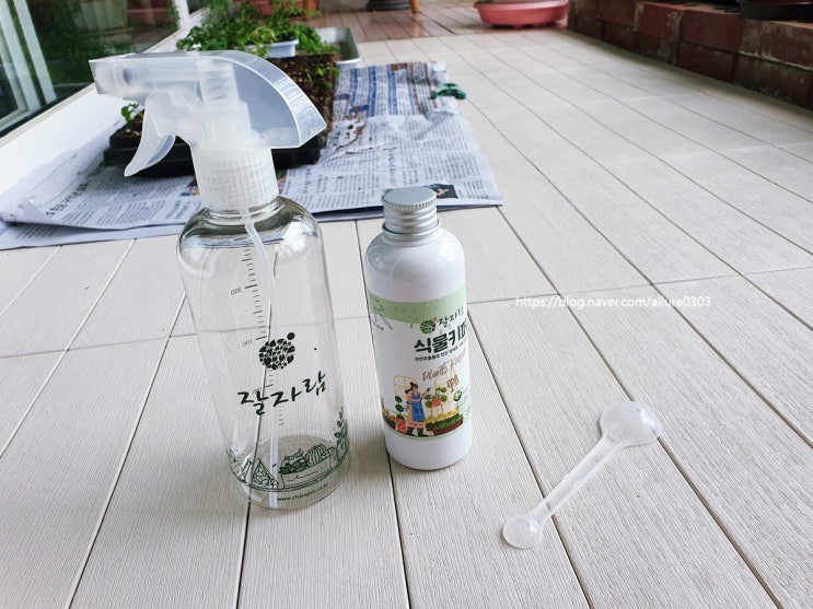 친환경 식물살충제 창빛농원 잘자람 식물키퍼 사용 후기