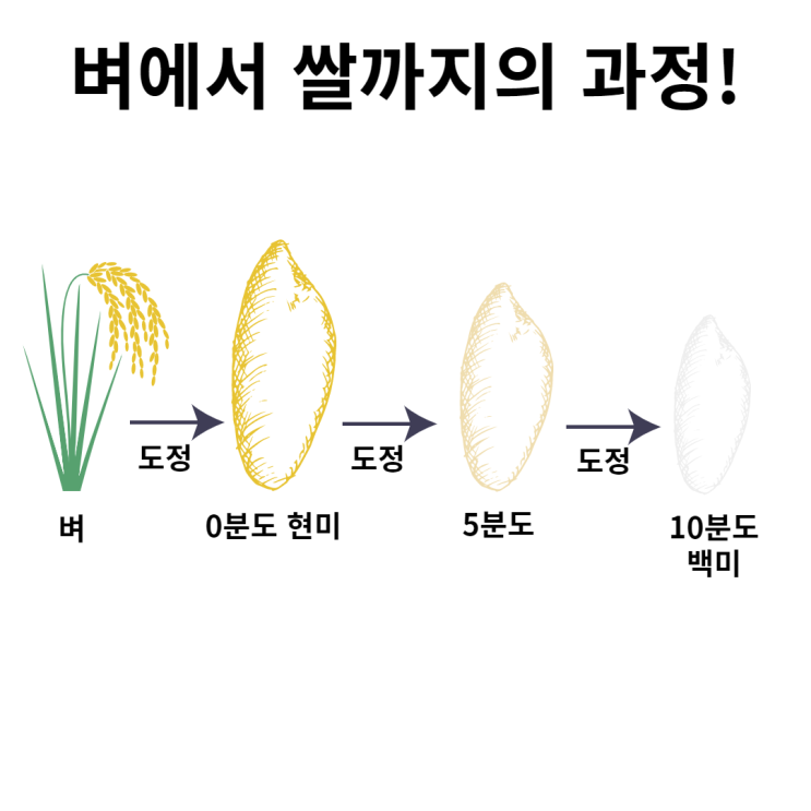  현미쌀 추천 현미 고르는 법 부드러운 현미 밥 하는법 소문난농부