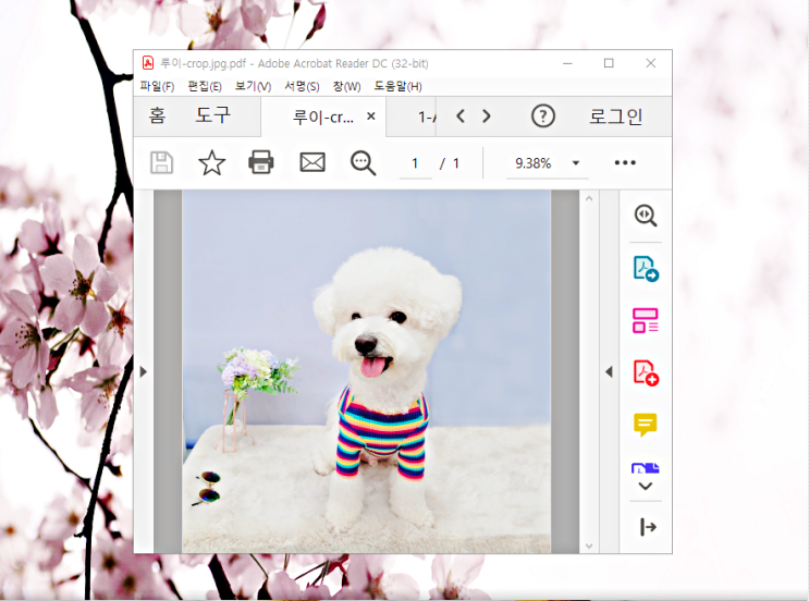 한글 문서 pdf 파일 변환 jpg, ppt allinpdf 사이트로 빠르게 한글 문서 pdf 파일 변환 jpg, ppt allinpdf 사이트로 빠르게