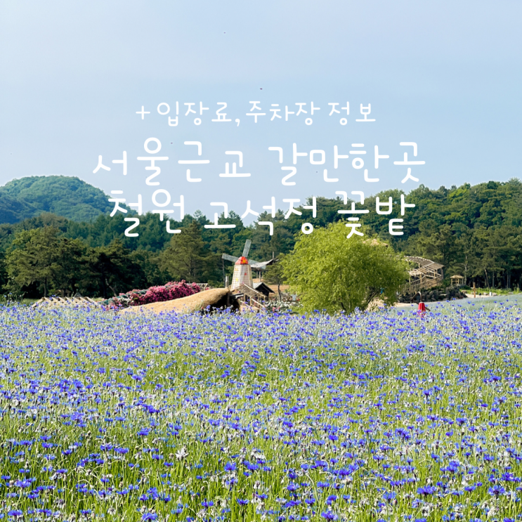  철원 고석정 꽃밭 꽃축제 차 끌고 다녀왔어요