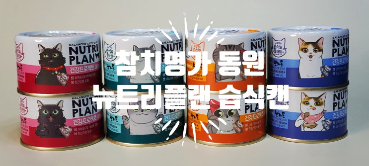  동원 뉴트리플랜 고양이 습식캔