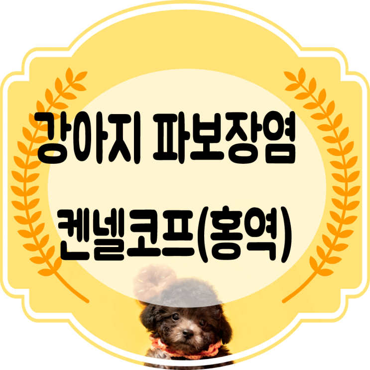  강아지파보장염 (파보바이러스) 와 강아지켄넬코프 (강아지홍역)