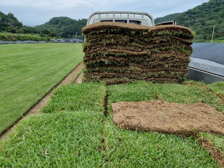  DIY 시공하는 롤잔디 처음도 걱정 없어요