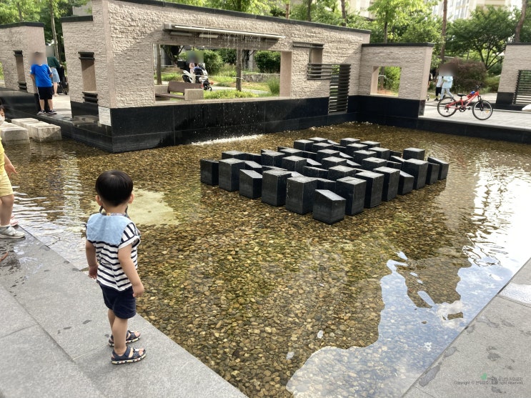 6월 둘째주 주간일기 6월 둘째주 주간일기