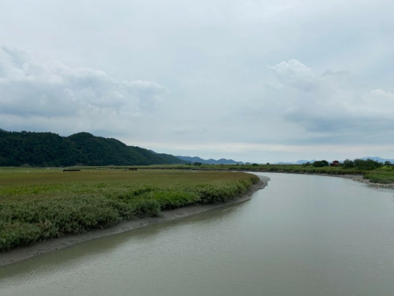 大自然創造的綠色海洋，順天市順天灣濕地遊記