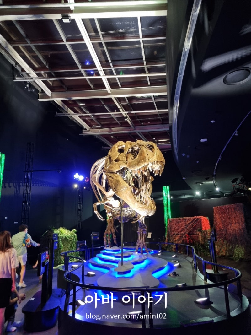 빅토리아 티렉스 전시회 @롯데백화점 김포공항점 (공룡 전시, 화석전시) : 네이버 블로그, image size:800x1067
